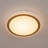 Philisha 16-inch Round LED Flush Mount Ceiling Light with Crystal-like Decorative Ring, 3CCT (3000K/4000K/5000K)