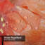 Flamant rose, aquarelle, art animalier, oiseau avec 12 crochets-705854083