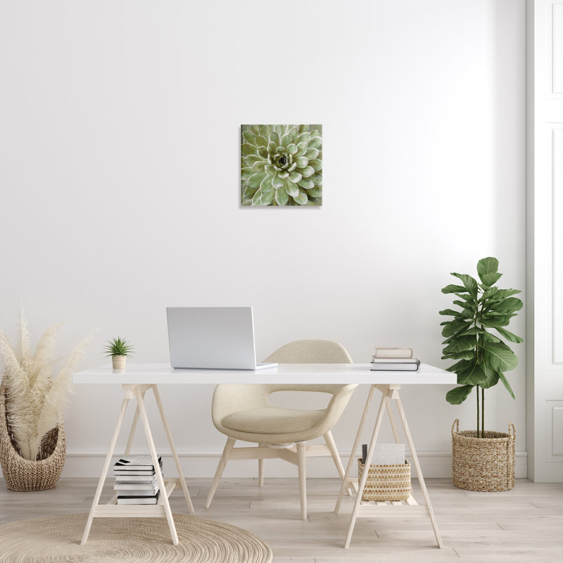 «Painted Botanical Succulent Bloom», impression, H 17 po x l 17 po