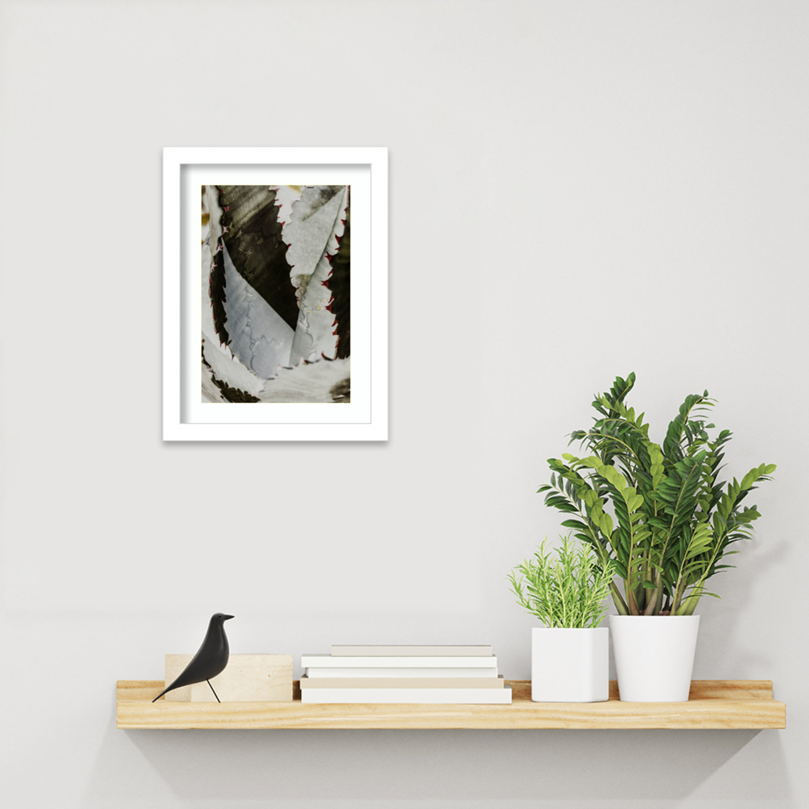 Daisey "Nova" Print by Shot by Clint, 13" H x 10" W, White