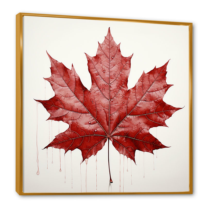 " Scarlet Maple Leaf Simplicity ", Gold Floater Framed, 30" H x 30" W x 1" D
