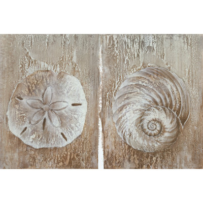 Rustic Sand Dollar And Seashell - Wrapped Canvas Art Prints