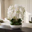 Orchid Arrangement in Round Fiberstone Pot-1233830116