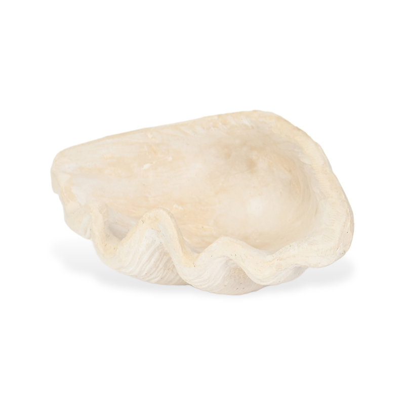 Plateau en coquillage pour coquillages Vail, H 2,75 po x l 12,25 po x P 7,75 po