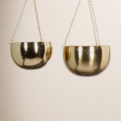 Benally 8" Hanging Planter