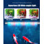 Aquarium 60-66 gallons-130036735-130036738