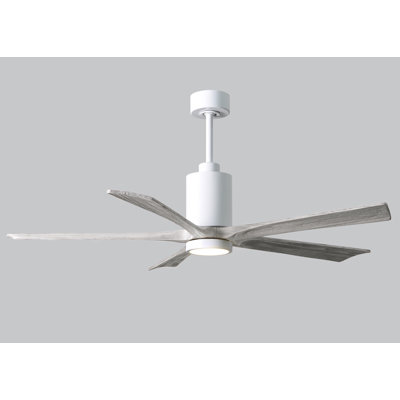 Patricia LED Downrod Ceiling Fan