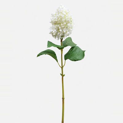Crème hortensia blanc cône 35,5 po