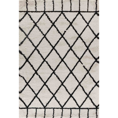Franke Geometric Shag Area Rug