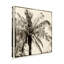 « palm tree sépia iii », reproduction d’impression sur toile tendue-33425420