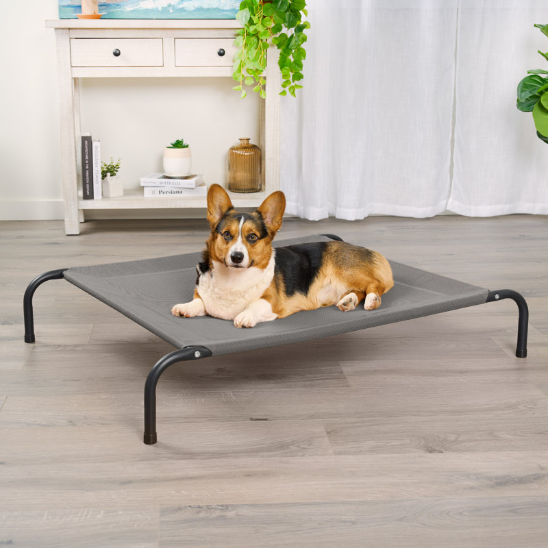Elevated Cot Pet Bed, 8" H x 32.5" W x 44" D, Gray