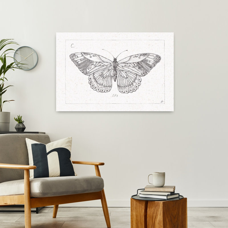 Contemporary Art Contemporary Butterfly Art by Daphne Brissonnet - Wrapped Canvas Print, 60.96 cm H x 91.44 cm W