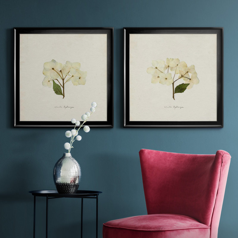 Cornales Hydrangea I Cornales Hydrangea I - ensemble de 2 reproductions de cadres photo, H 34,5 po x l 69 po, Noir