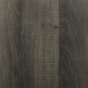 Midnight Oak