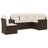 Vidaxl Garden Sofa Set Brown, Cream White