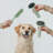 Pet Grooming Brush: Wet & Dry