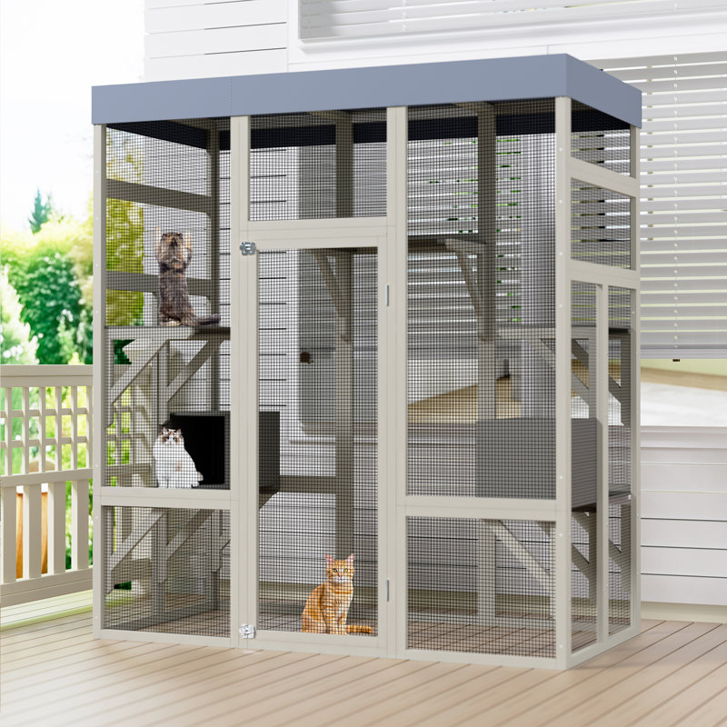 Cat House