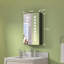 Arrionna Surface Mirrored Bathroom Cabinets with Mirror and 2 Adjustable Shelves-1057100606-1057100605