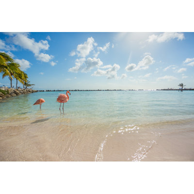 Two Flamingos by Sergey02 - Wrapped Canvas Print