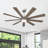 Babrak 65'' Ceiling Fan with LED Lights-777151485