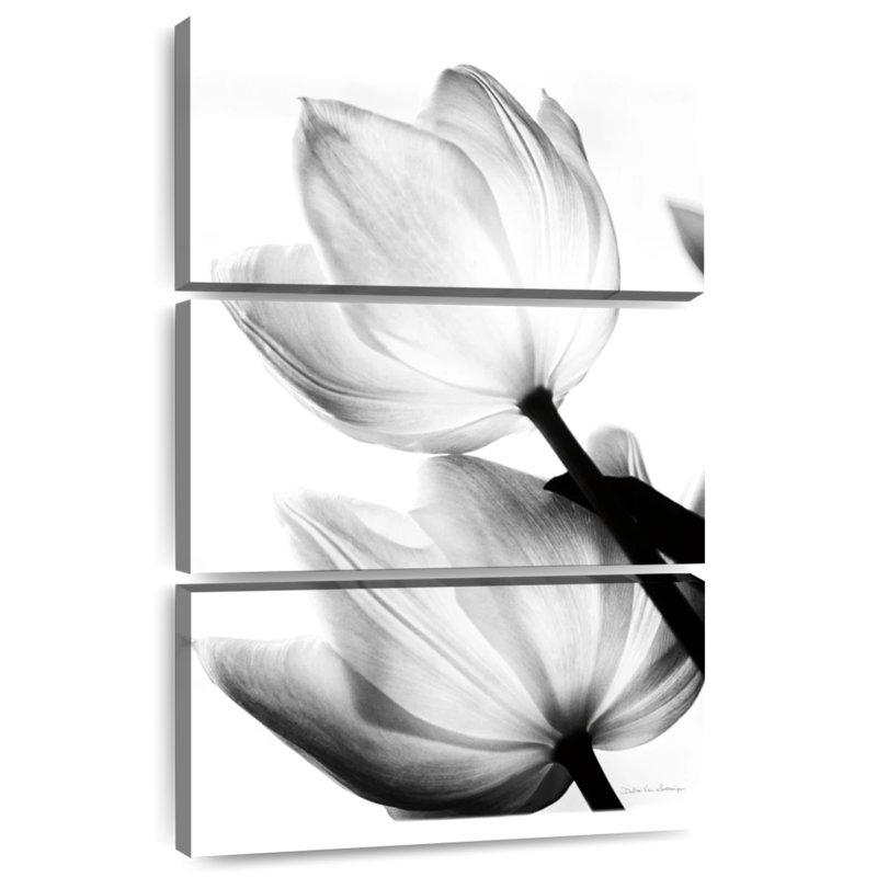 Harnek Translucent Tulips III, 32" H x 20" W