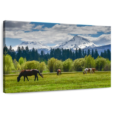 Chevaux Alvord Cascade Range