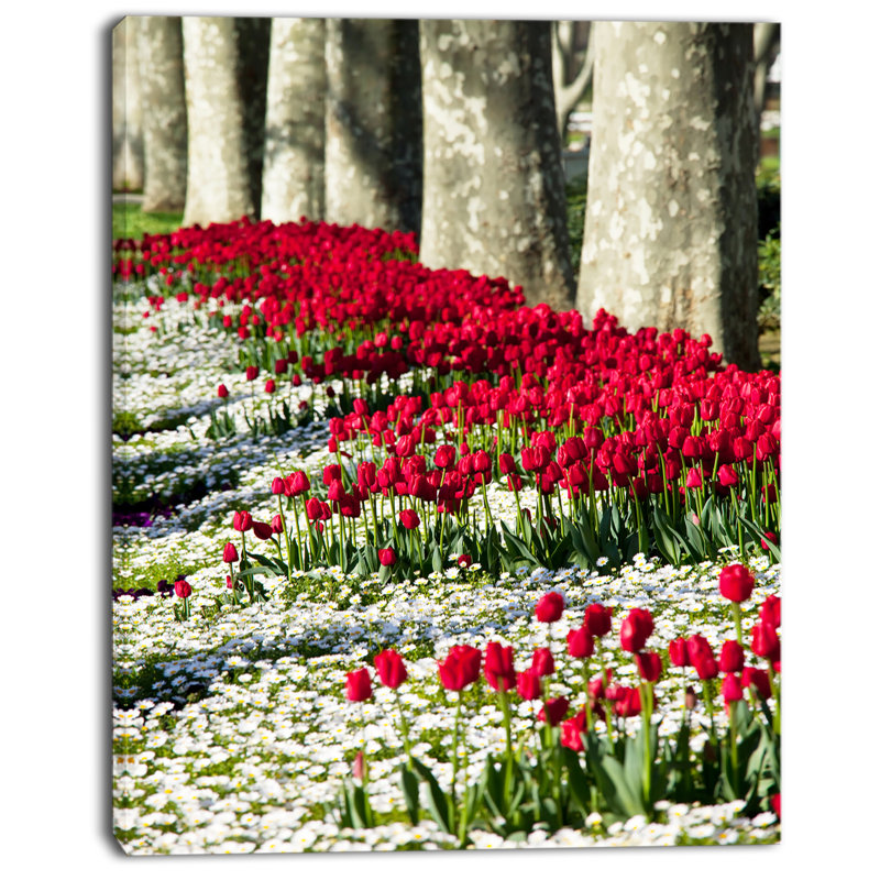 «Wild Tulip Flowers in Forest Pasture», reproduction de photo sur toile tendue, H 40 po x l 30 po x P 1 po