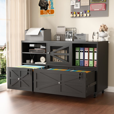 Lateral File Cabinet With Lock, 2 Drawer Mobile Filing Cabinet For Letter/legal/a4 Size, Open Storage Adjustable Shelf For Home Office Cabinets by Ophelia & Co.
