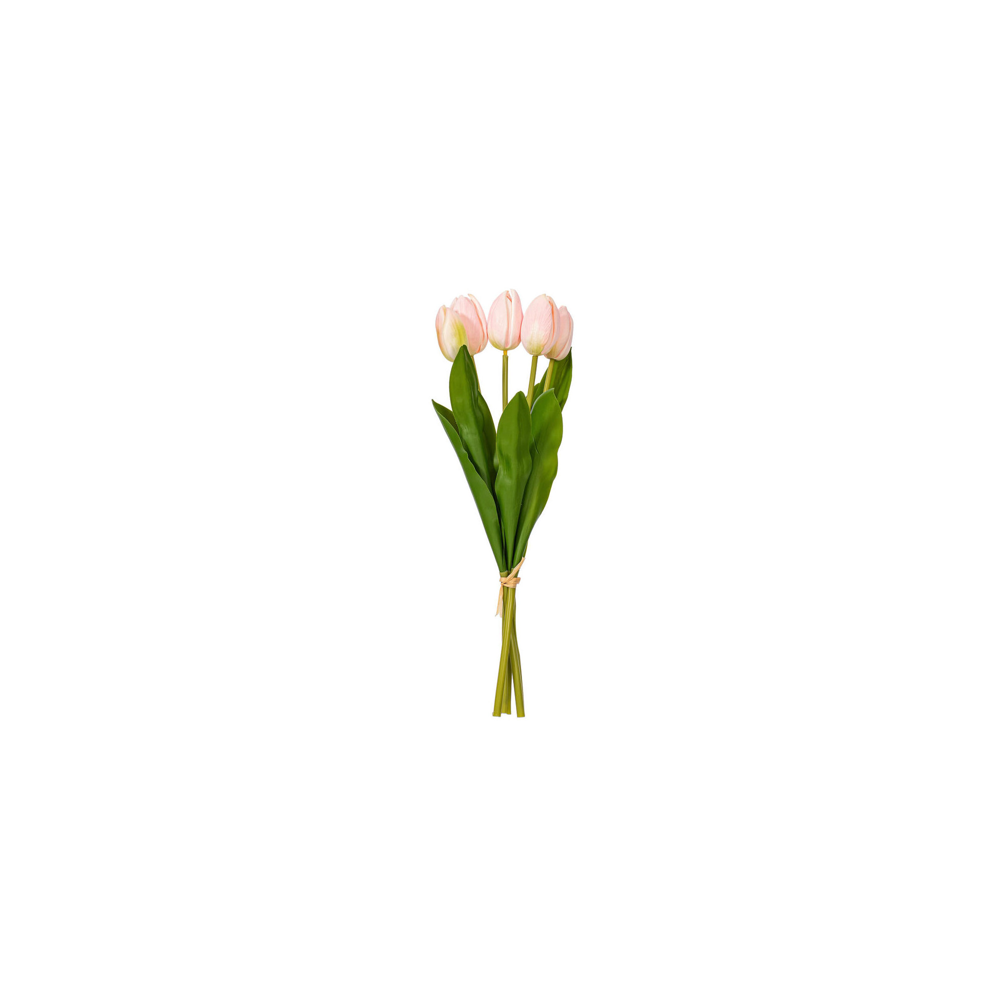 16"H Plum Tulip Bundle of 5., Pink