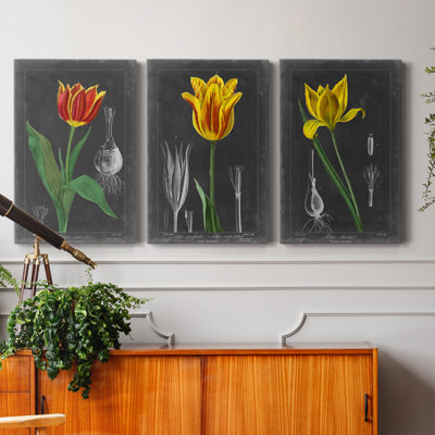" Midnight Tulip IV " 3 - Pieces