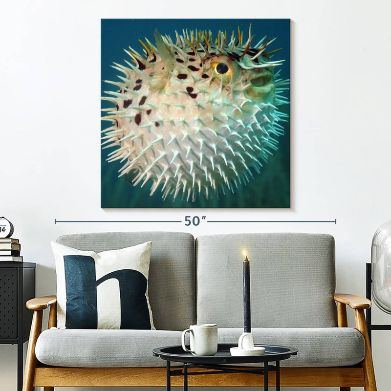 Brampt Puffer Fish, 33" H x 33" W