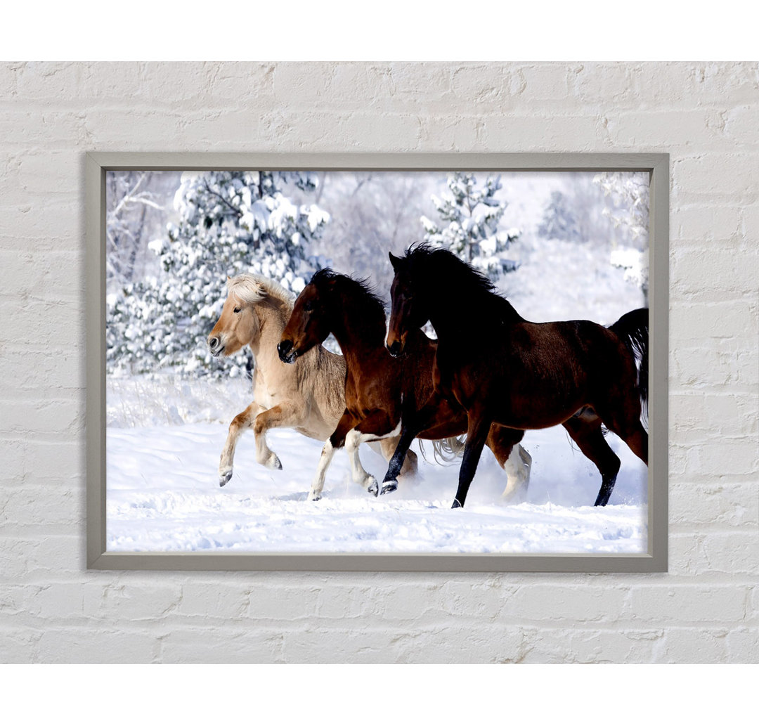 Wild Winter Horses Running - Einzelbildrahmen Kunstdrucke auf Leinwand