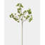 Faux Branch