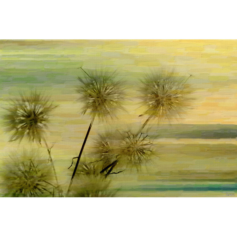 Parvez Taj - Wrapped Canvas Print, 101cm H x 152cm W x 5cm D