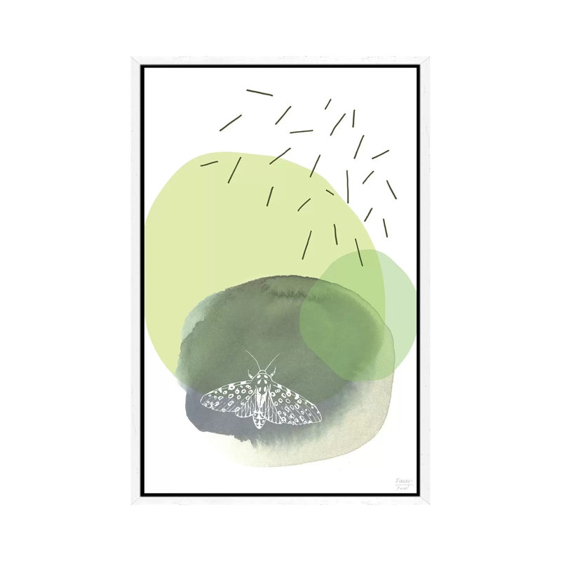 The Lonely Moth - Print on Canvas, White Floater Framed, 101.6cm H x 66.04cm W x 3.81cm D