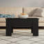 Hutt Lift Top Four Leg Coffee Table with Storage-668619287-668619279