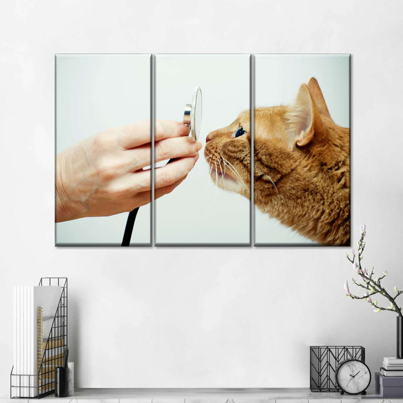 «Cat Vet», reproduction d'art sur toile, H 14 po x l 23 po x P 1 po