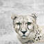 Wrapped Canvas Painting-374296760