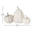 20" Rustic White Pumpkin Trio Decor, Cream