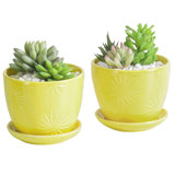 Magdaleno Ceramic Pot Planter