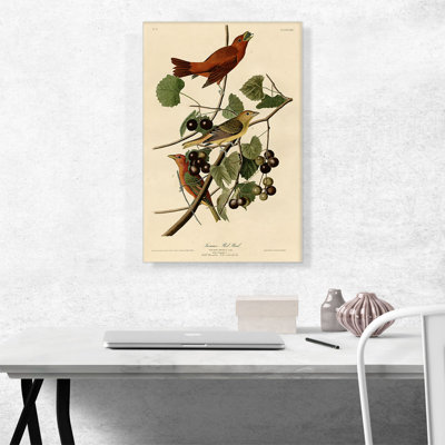 «Summer Tanager Summer Red Bird» par James Audubon, reproduction d'art sur toile tendue