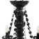 Cheever 8-Light Candle Style Chandelier
