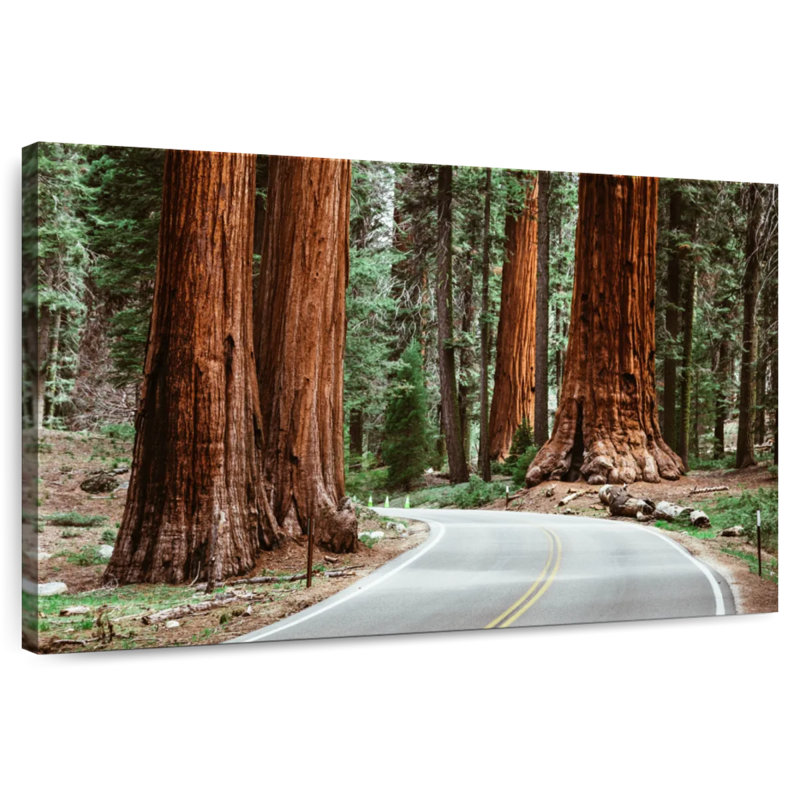 Harnek Sequoia Park Road, 20" H x 30" W