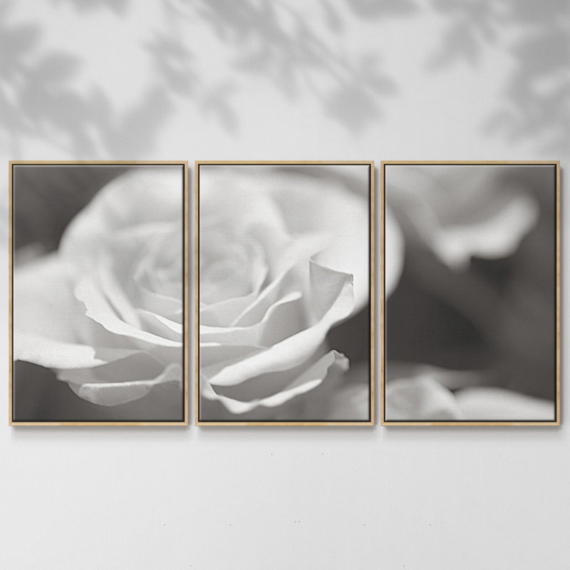 Roseudes IV - Toile encadrée multi-pièces, H 24 po x l 48 po x P 2 po, Naturel