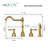 Akicon Kitchen Faucet with Side Spray-89434070