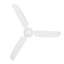 Carolina 56in 3-Blades Indoor/Outdoor Ceiling Fan with Remote Control-1694932916