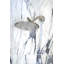 Emile 8" Wall Mount Rain Shower Head With Arm-34271353