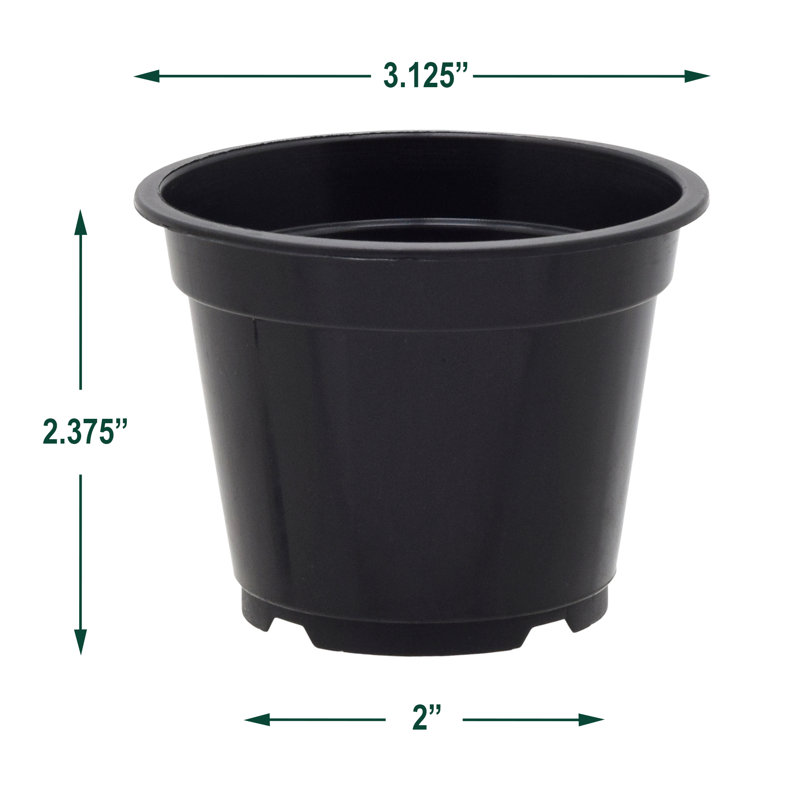 Ensemble de casseroles en plastique Kounain, 100, H 2,38 po x l 3,13 po x P 3,13 po