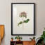 Mauve Garden Flowers V - peinture encadrée-949402230-949402231