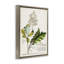 "Botanical Plant Illustration Leaves", impression sur toile par World Art Group-362868626-362868628